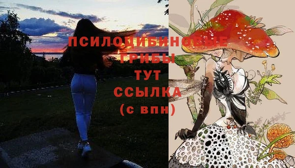прущие грибы Волосово