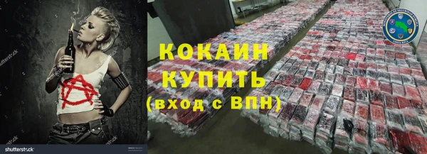 прущие грибы Волосово