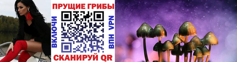Купить  Любань  Галлюциногенные грибы ЛСД 